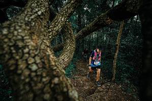 BIB: 
                            <button type="button" onclick="openModal(25696315)" class="btn btn-primary btn-sm float-right btn-popup" data-toggle="modal" data-target=".modal-high-quality">
                        <i class="fas fa-shopping-cart"></i> Add to Cart
                    </button>
                                            <button type="button" onclick="isThisMe(25696315, true)" class="btn btn-success btn-sm float-right btn-popup btn-isme hidden" data-toggle="tooltip" data-placement="bottom" title="นี่คือรูปของคุณใช่ไหม คลิกที่นี่เพื่อเอาเข้าอัลบั้ม">
                        <i class="fas fa-plus"></i> Add to album
                    </button>
                    <button type="button" onclick="isThisMe(25696315, false)" class="btn btn-warning btn-sm float-right btn-popup btn-isnotme hidden">
                        <i class="fas fa-ban"></i> Remove from album
                    </button>